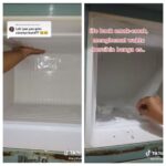 Begini Cara Cepat Membersihkan Bunga Es di Freezer