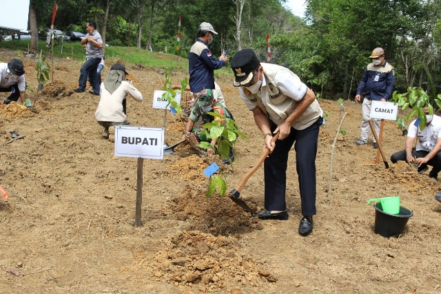 Wakil Bupati Hulu Sungai Tengah Mansyah Sabri dalam gerakan tanam kopi, Rabu (26/1/2022). (Foto: Kominfo Kabupaten Hulu Sungai Tengah)