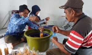 Pengembangan Teaching Factory; Pelatihan Budidaya Jamur Tiram di Banjarbaru