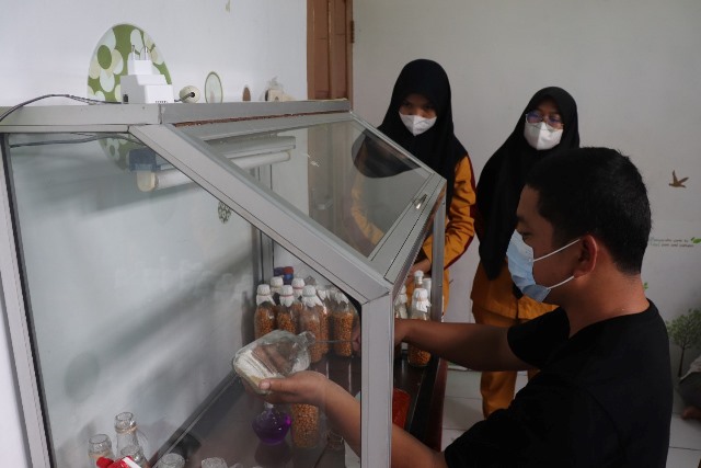 Pelatihan Budidaya Jamur Tiram. (Foto: Tim Ekspos SMK PP Negeri Banjarbaru)
