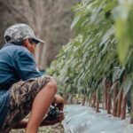 Dukung Program Kementan, Milenial Martapura Sukses Kembangkan Budidaya Cabai