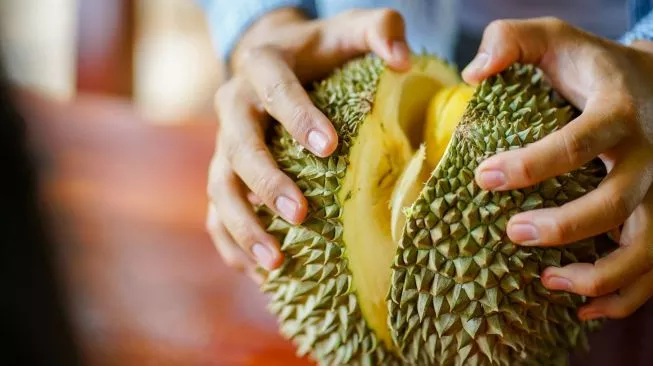 Ilustrasi buah durian. (Foto: Envato Elements)