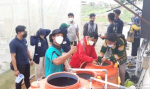 SMK PP Negeri Banjarbaru menggelar pelatihan Smart Farming tentang smart green house. (Foto: Tim Ekspos SMK PP Negeri Banjarbaru)