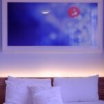 Lima Pilihan Warna Cat Kamar Tidur Pria yang Disukai