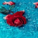 Tujuh Manfaat Air Bunga Mawar Diantaranya Hilangkan Kerutan