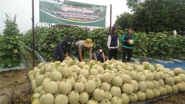 Program Hibah Kompetitif dari Kementerian Pertanian. (Foto: Tim Ekspos SMK PP Negeri Banjarbaru)