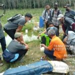 Tingkatkan Produktivitas, Kementan Lakukan Advanced Training Budidaya Cabai