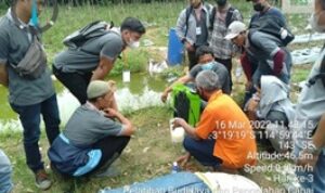 SMK PP Negeri Banjarbaru menggelar pelatihan atau advanced training dengan tema pelatihan budidaya dan pengolahan cabai. (Foto: Tim Ekspos SMK PP Negeri Banjarbaru)