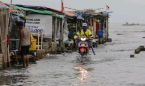 Kabupaten Banjar Waspada Ancaman Banjir Rob