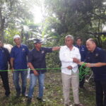 DPW NasDem Kalimantan Selatan Salurkan 290 Ekor Sapi Kurban