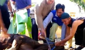 Ratusan Daging Kurban Dibagikan Untuk Masyarakat Sekitar Rumah Sakit