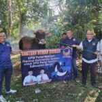 DPD NasDem Kabupaten Banjar Potong Hewan Kurban Dekat Kantor