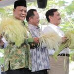 Menteri Luhut Instruksikan Kepala Daerah Kembangkan Produk UMKM