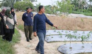 Bidik Peluang Usaha Sektor Pertanian di Kaltim, Petani Milenial Kalsel Jajaki Kerjasama