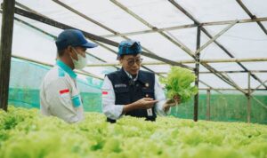 Kepala Badan Penyuluhan dan Pengembangan Sumber Daya Manusia Pertanian (BPPSDMP) Dedi Nursyamsi (kanan) di Kutai Kertanegara, Sabtu (10/9/2022). (Foto: Tim Ekspos SMK PP Negeri Banjarbaru)
