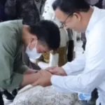 Gibran Disebut Main Politik Bambu, ‘Lentur Tapi Keras’ Bertemu Anies