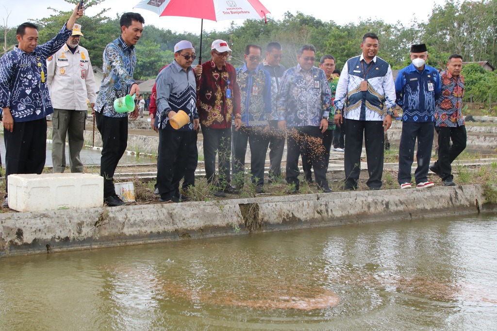 Pemberian pakan ikan di Unit Pelaksana Teknis Daerah (UPTD) Balai Benih dan Induk Ikan (BBII) Kecamatan Karang Intan, Kamis (5/1/2023) siang. (Foto: Kominfo Kabupaten Banjar)