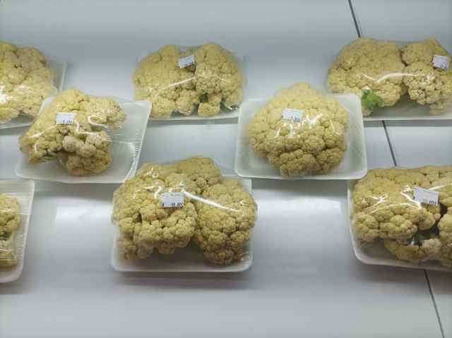 Program Studi ATPH SMK PP Negeri Banjarbaru untuk produksi kembang kol. (Foto: Tim Ekspos SMK PP Negeri Banjarbaru)