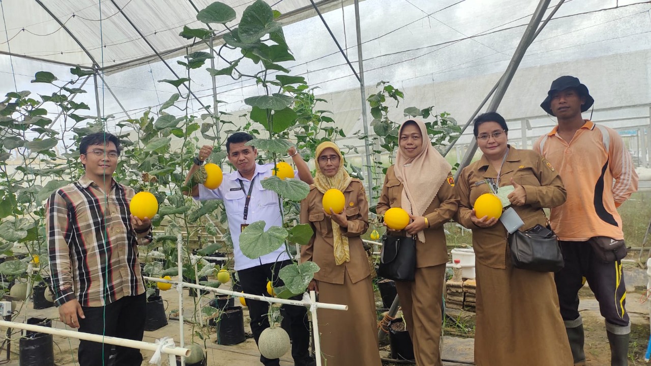 Budidaya melon sebagai salah satu kegiatan Teaching Factory SMK-PP N Banjarbaru. (Foto: Tim Ekspos SMK PP Negeri Banjarbaru)