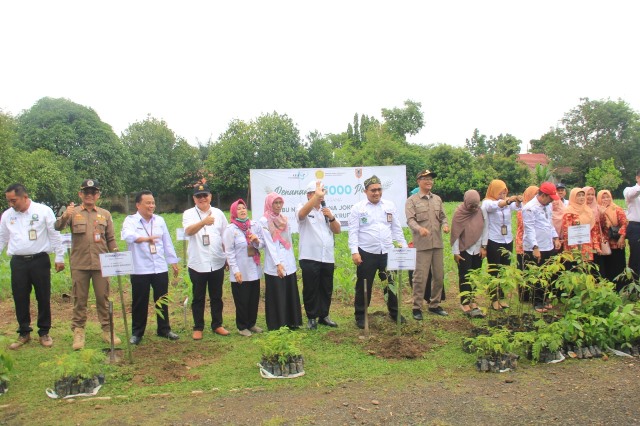 Program Indonesia Hijau melalui penanaman serentak 1000 pohon di 36 Provinsi di Indonesia, Rabu (01/02/2023). (Foto: Tim Humas SMK PP Negeri Banjarbaru)