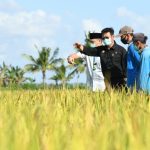 Kementan Gaungkan Genta Organik di Kalimantan Selatan