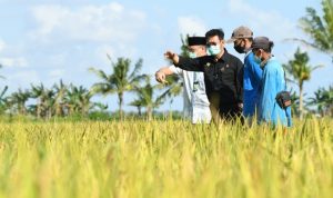 Kementan melalui BPPSDMP terus berusaha meningkatkan kapasitas sumber daya manusia (SDM) pertanian. (Foto: Tim Ekspos SMK PP Negeri Banjarbaru)