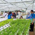 Kenalkan Dunia Pertanian, Kementan Gelar Pelatihan Bimbingan Karir Untuk Guru