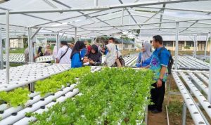 SMK PP Negeri Banjarbaru menggelar Pelatihan Bimbingan Karir Bagi Guru untuk Sekolah Menengah Pertama (SMP). (Foto: Tim Humas SMK PP Negeri Banjarbaru)