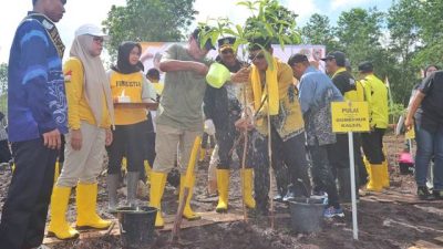 Hari Bakti Rimbawan, Paman Birin Pelopori Penanaman 25 Ribu Batang Pohon