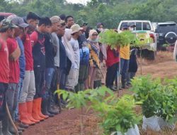 Gelora Revolusi Hijau, Penanaman 500 Bibit Mahoni di Jalan Palam