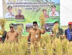 Gubernur Kalsel Panen Padi Apung di Desa Hamayung