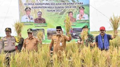 Gubernur Kalsel Panen Padi Apung di Desa Hamayung