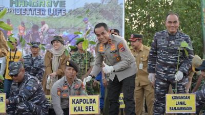 Kapolda Kalsel Bersama Forkopimda Tanam Mangrove di Takisung