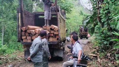 Sekitar 13 kubik kayu berjenis ulin dan rimba campuran dengan berbagai ukuran berhasil diamankan tim gabungan satuan Polisi Hutan (polhut) Dinas Kehutanan (Dishut) Kalimantan Selatan (Kalsel) dan Polhut Kesatuan Pengelolaan Hutan (KPH). (Foto: Dinas Kehutanan Kalsel/Katajari.com)
