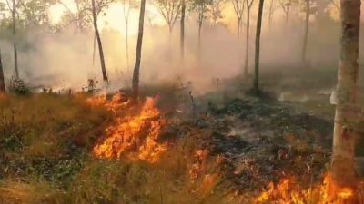 247 hotspot visual tersebut telah membakar hutan dan lahan seluas 285,14 hektare di Kabupaten Banjar. (Foto: BPBD Kabupaten Banjar/Katajari.com)