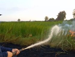 Karhutla di Desa Tungkaran Melumat Habis Sekitar 10 Hektare Lahan