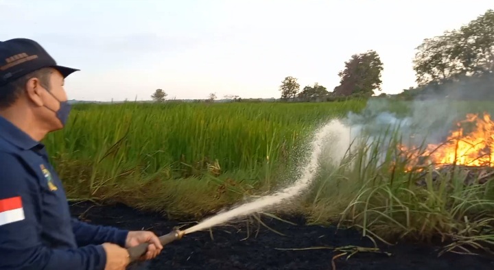 Kebakaran hutan dan lahan (Karhutla) terjadi di Desa Tungkaran Kecamatan Martapura, Kabupaten Banjar, tampaknya cukup luas lahan yang terbakar sekitar 10 hektare, Jumat (8/9/2023) siang. (Foto: Kominfo Kabupaten Banjar/Katajari.com)