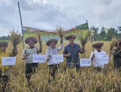 Masifkan Genta Organik, Kementan Kawal Sekolah Lapang di Kalimantan Timur