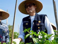 Transformasi Pertanian Modern, Petani Masa Kini Wajib Terapkan Smart Farming