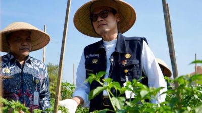 Transformasi Pertanian Modern, Petani Masa Kini Wajib Terapkan Smart Farming
