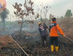 Empat Hektare Lahan Dekat Makam Datu Bagul Terbakar