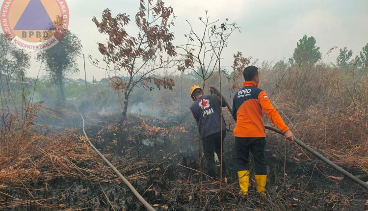 Penanggulangan karhutla oleh tim gabungan BPBD Kabupaten Banjar, Minggu (8/10/2023). (Foto: Kominfo Kabupaten Banjar/Katajari.com)