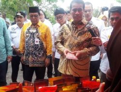 Menteri Pertanian Motivasi Penyuluh Kalimantan Selatan Menuju Swasembada Pangan