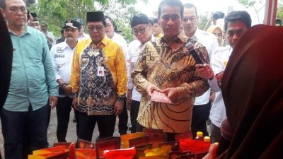 Menteri Pertanian Motivasi Penyuluh Kalimantan Selatan Menuju Swasembada Pangan