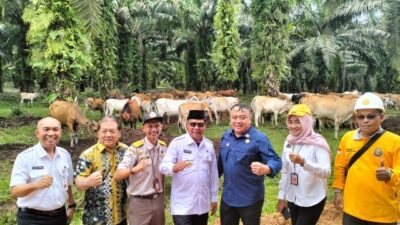 Pemerintah Provinsi Kalsel melalui Dinas Perkebunan dan Peternakan (Disbunnak) Provinsi Kalsel, memaparkan rencana program prioritas di tahun 2024. (Foto: Adpim Setdaprov Kalsel/Katajari.com)