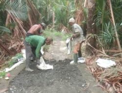 Perbaikan dan Pengurukan Jalan Usaha Tani di Desa Limamar