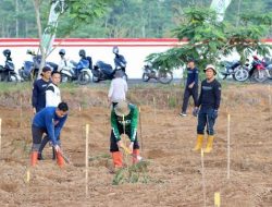 Tiga Ribu Bibit Pohon Bakal Siap Tanam di Taman Hutan Tropis Banjarbaru