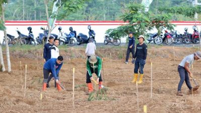Tiga Ribu Bibit Pohon Bakal Siap Tanam di Taman Hutan Tropis Banjarbaru