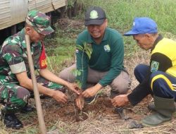 Hari Jadi IPARI, KPH Balangan Berikan Bantuan Bibit Unggul dan Bibit Penghijauan