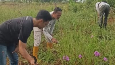 Fathimatuzzahra Apresiasi Aksi Pemeliharaan Tanaman Serentak Oleh BPDAS Barito